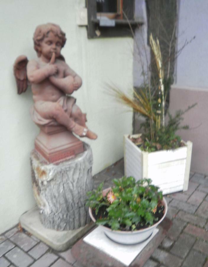 Gites Petermann Marckolsheim Dış mekan fotoğraf
